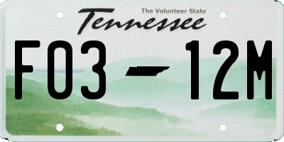TN license plate F0312M