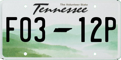 TN license plate F0312P