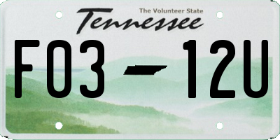 TN license plate F0312U