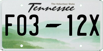 TN license plate F0312X