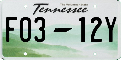 TN license plate F0312Y