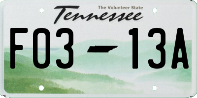 TN license plate F0313A
