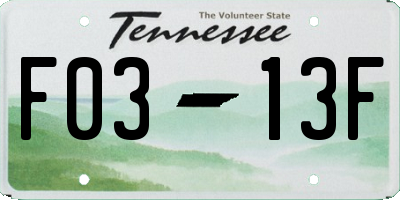 TN license plate F0313F