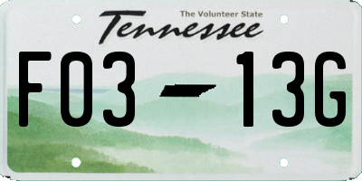 TN license plate F0313G