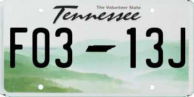 TN license plate F0313J