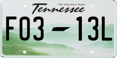 TN license plate F0313L