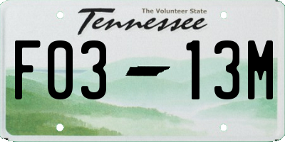 TN license plate F0313M