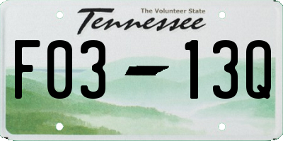 TN license plate F0313Q