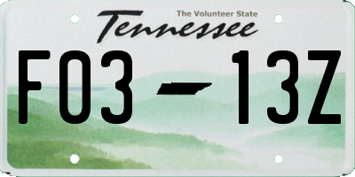 TN license plate F0313Z
