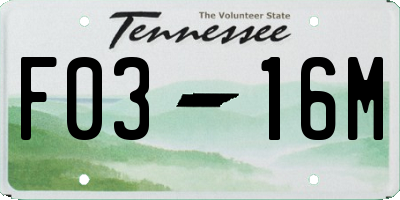 TN license plate F0316M
