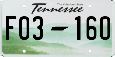 TN license plate F0316O