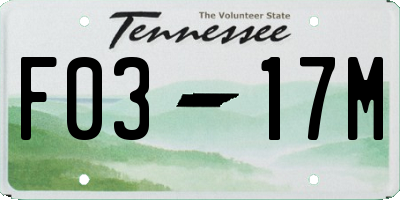 TN license plate F0317M