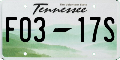 TN license plate F0317S