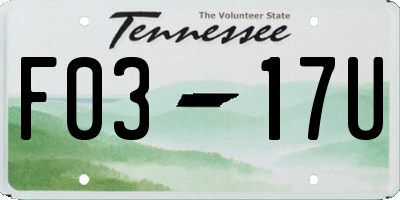 TN license plate F0317U