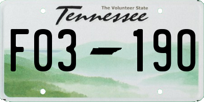 TN license plate F0319O