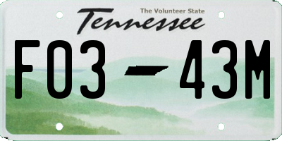 TN license plate F0343M