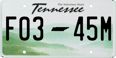 TN license plate F0345M