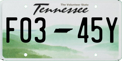 TN license plate F0345Y