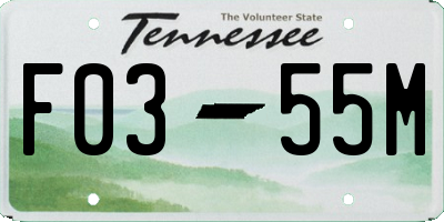 TN license plate F0355M