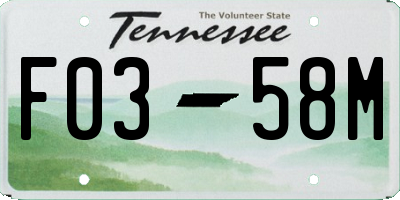 TN license plate F0358M