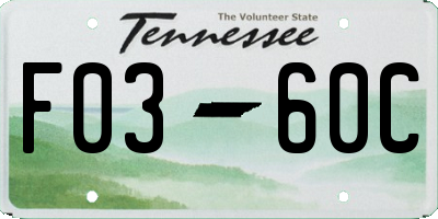 TN license plate F0360C