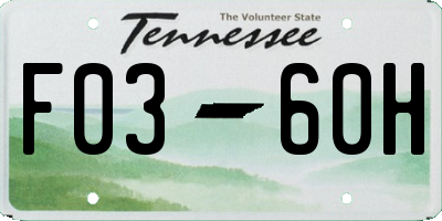 TN license plate F0360H