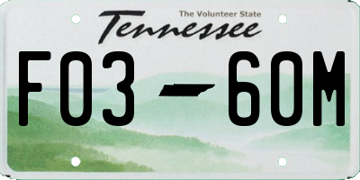 TN license plate F0360M