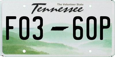 TN license plate F0360P