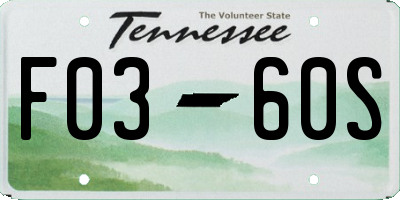 TN license plate F0360S