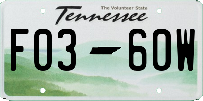 TN license plate F0360W