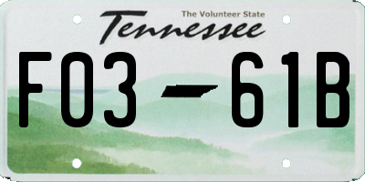 TN license plate F0361B