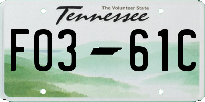 TN license plate F0361C
