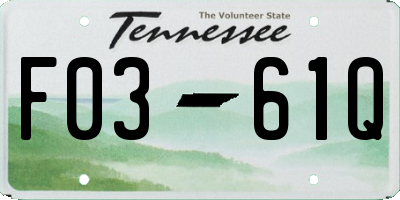 TN license plate F0361Q
