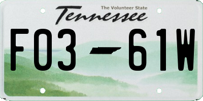 TN license plate F0361W
