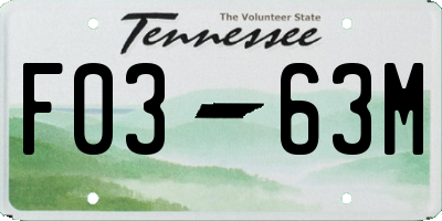 TN license plate F0363M