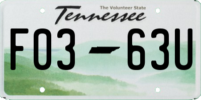 TN license plate F0363U