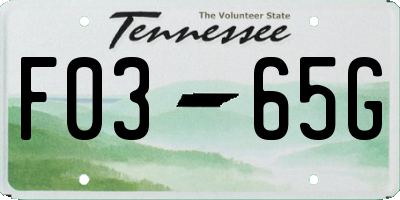 TN license plate F0365G