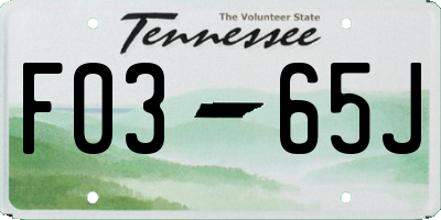 TN license plate F0365J