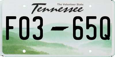 TN license plate F0365Q