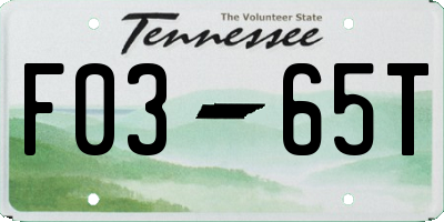 TN license plate F0365T
