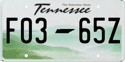 TN license plate F0365Z