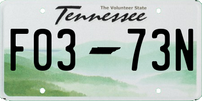 TN license plate F0373N