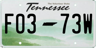 TN license plate F0373W
