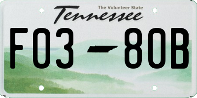 TN license plate F0380B