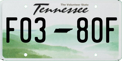 TN license plate F0380F