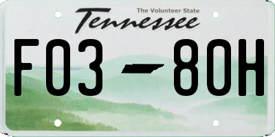 TN license plate F0380H