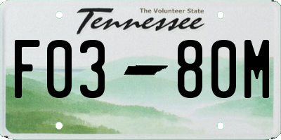 TN license plate F0380M