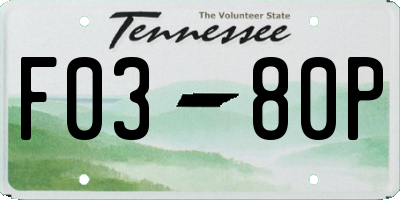 TN license plate F0380P