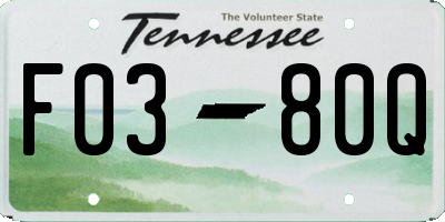 TN license plate F0380Q