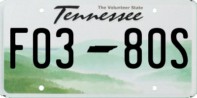 TN license plate F0380S